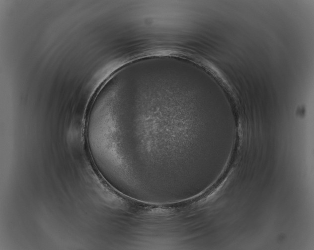 X0000089921178200707061013