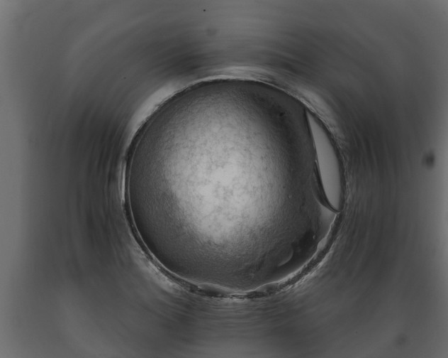 X0000089921180200707061013
