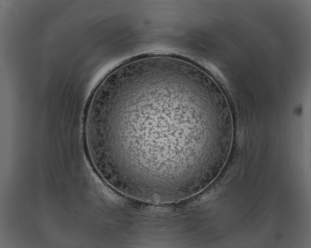 X0000089921183200707061013
