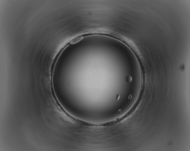 X0000089921184200707061013