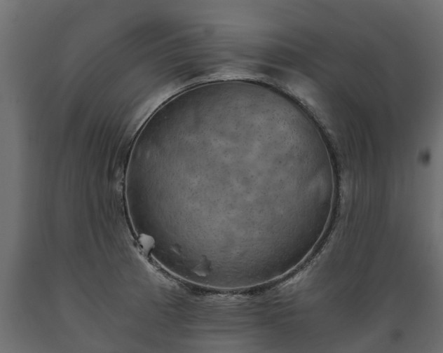 X0000089921185200707061013