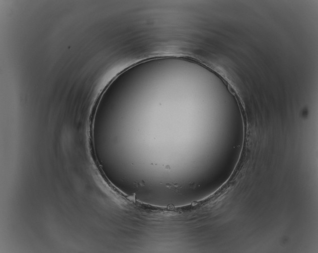 X0000089921187200707061013
