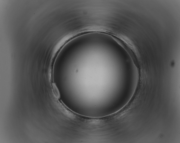 X0000089921188200707061013
