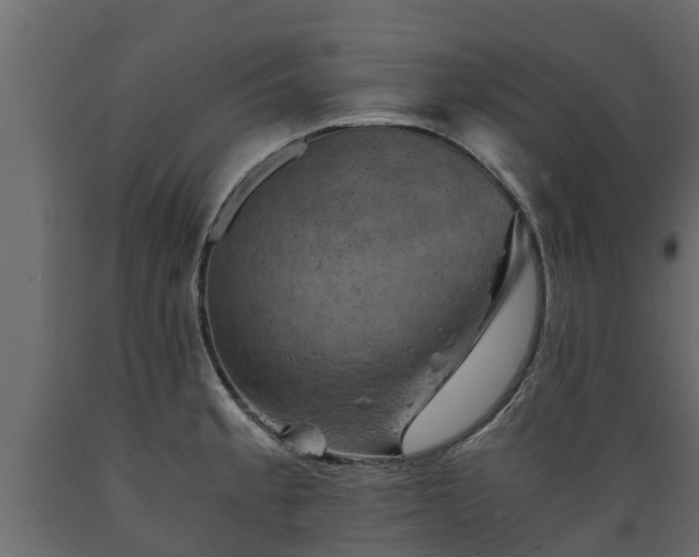 X0000089921189200707061013