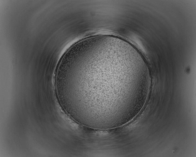 X0000089921190200707061013