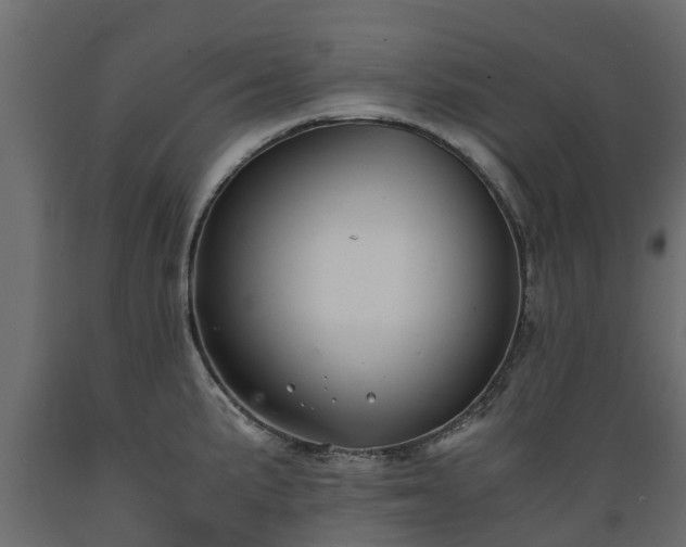 X0000089921191200707061013