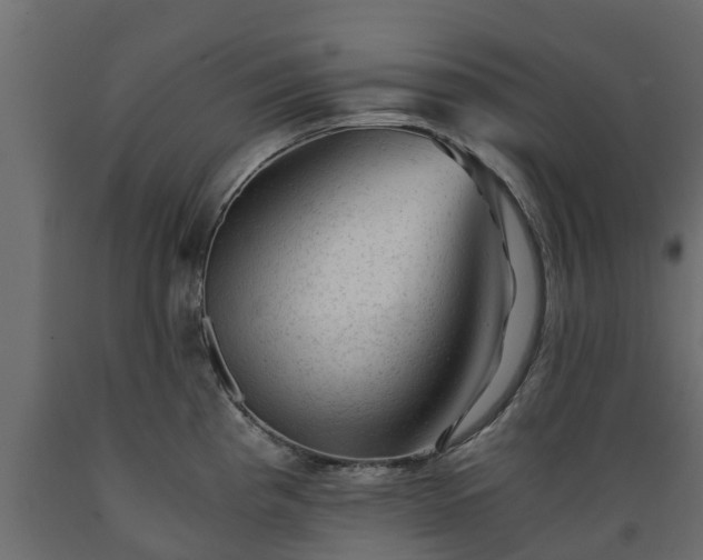 X0000089921193200707061013