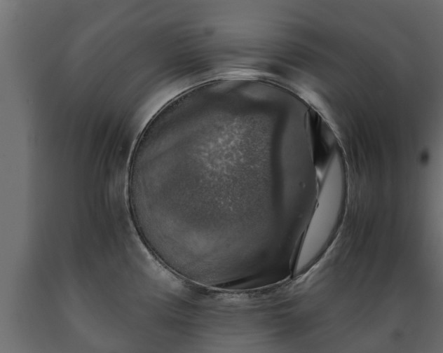 X0000089921194200707061013