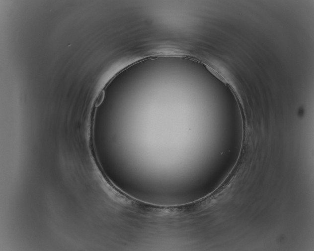 X0000089921195200707061013