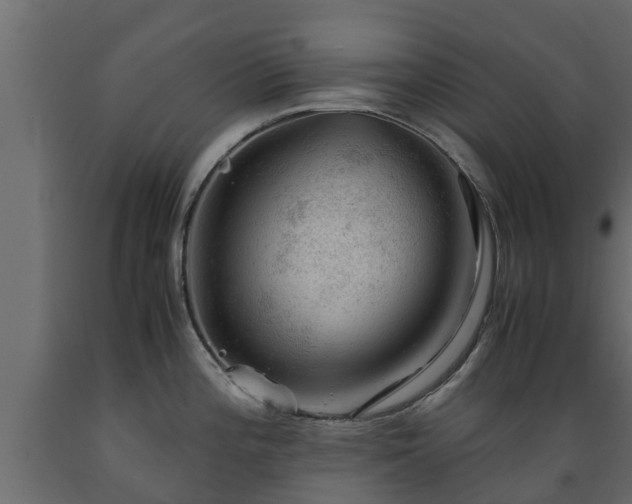X0000089921196200707061013