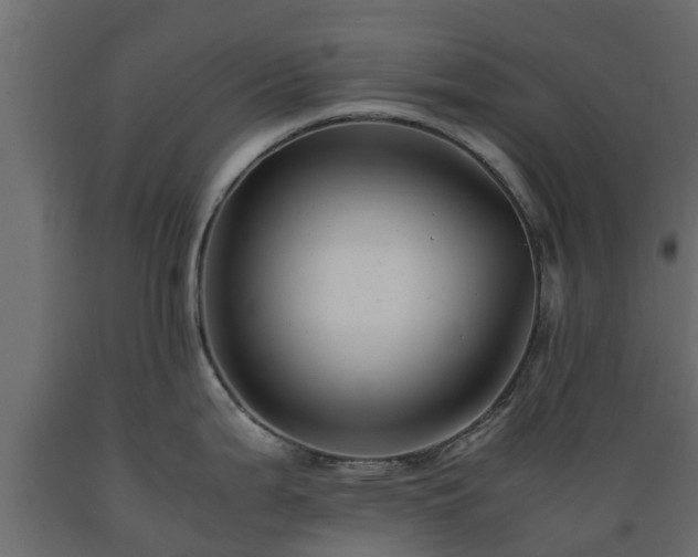 X0000089921199200707061013
