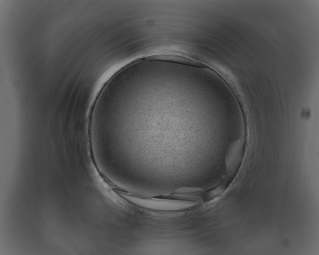 X0000089921200200707061013