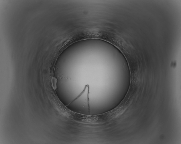 X0000089921201200707061012