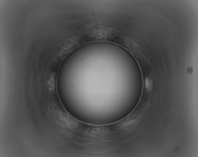 X0000089921203200707061012