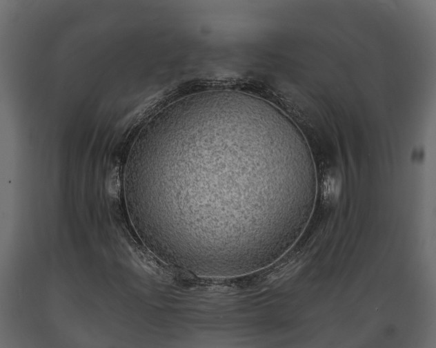 X0000089921204200707061012
