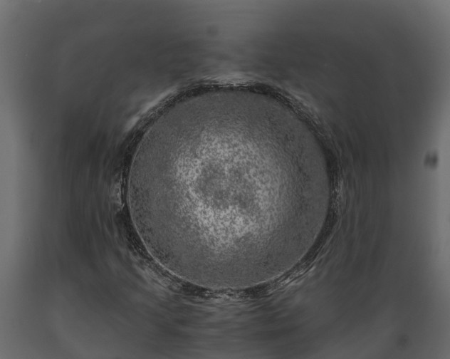 X0000089921205200707061012