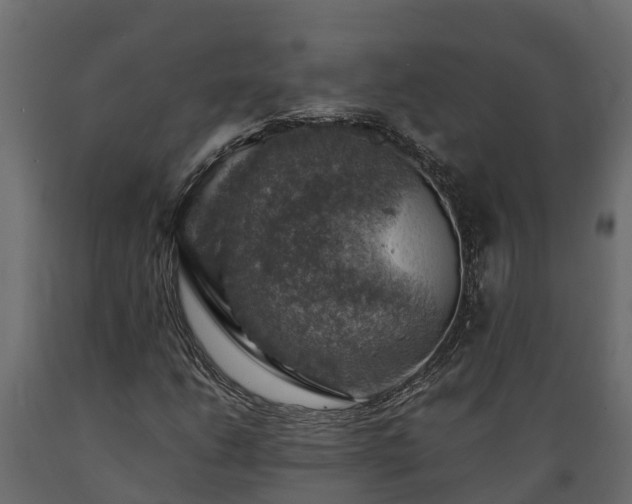 X0000089921206200707061012