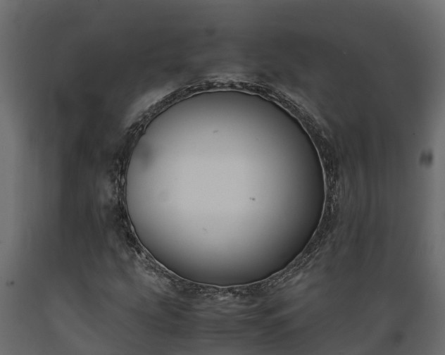 X0000089921207200707061012