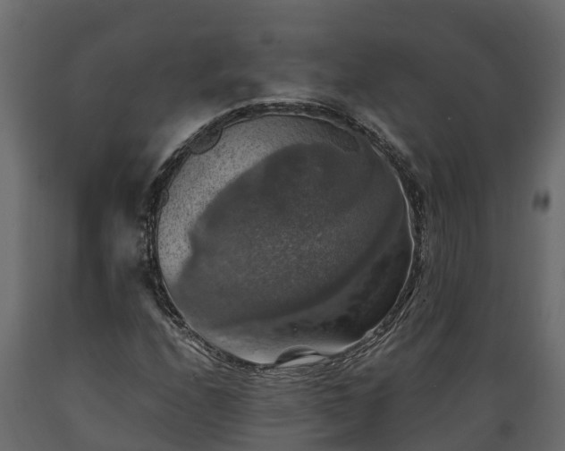 X0000089921208200707061012