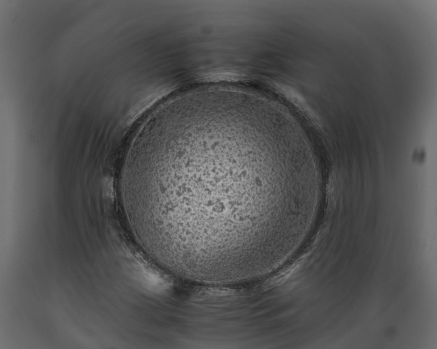 X0000089921209200707061012