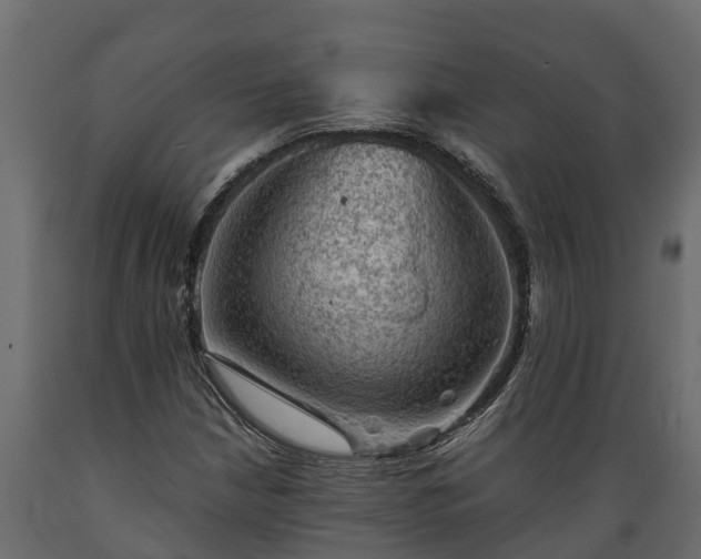 X0000089921210200707061012