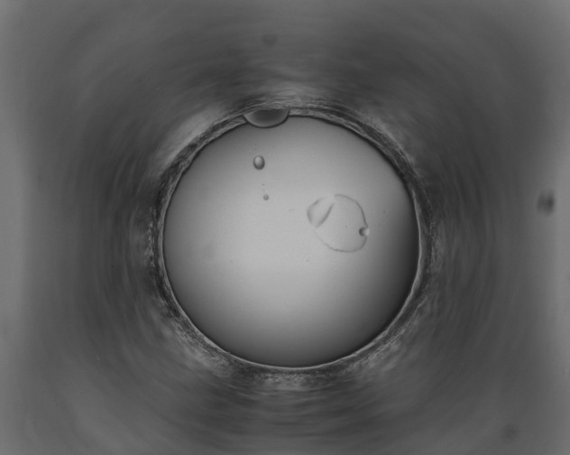 X0000089921211200707061012