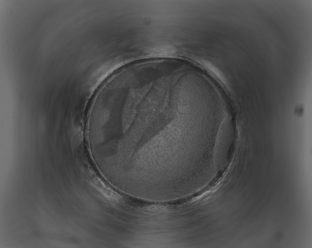 X0000089921212200707061012