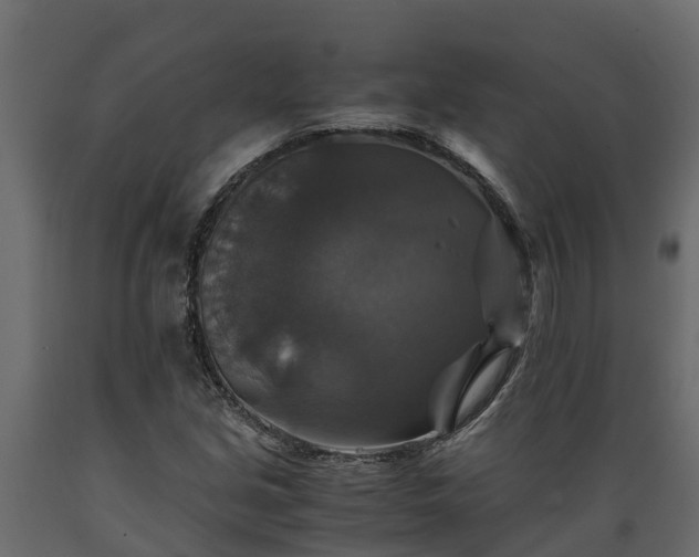 X0000089921213200707061012