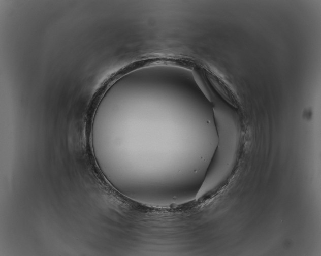 X0000089921214200707061012