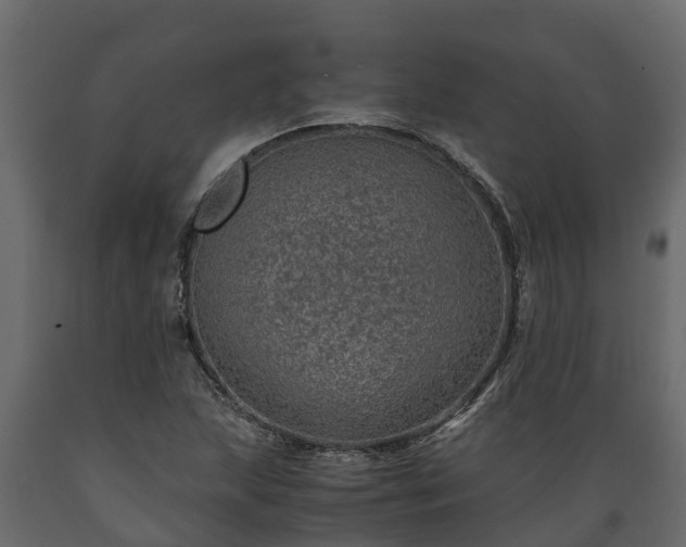 X0000089921215200707061012