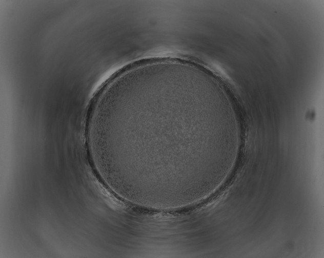 X0000089921216200707061012