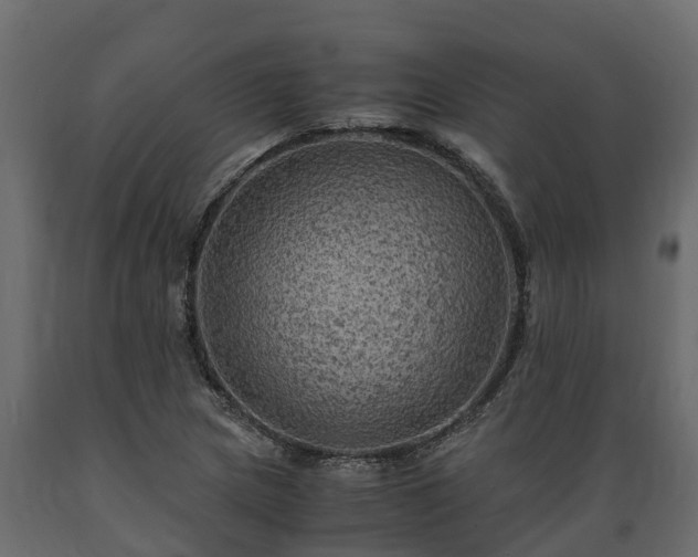 X0000089921217200707061012