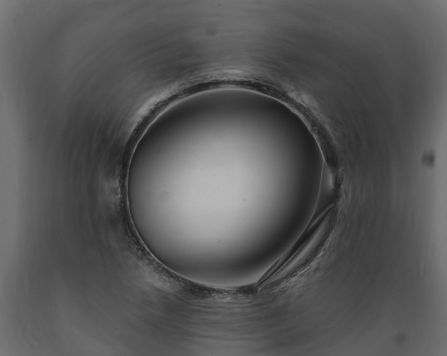 X0000089921218200707061012