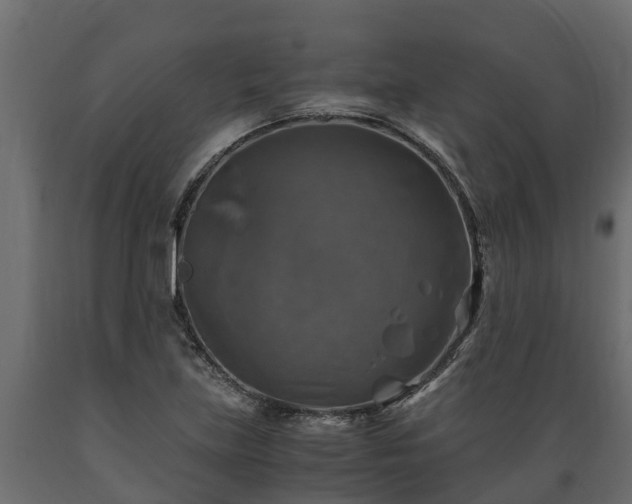 X0000089921219200707061012