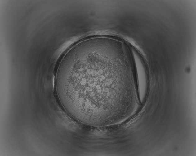 X0000089921221200707061012