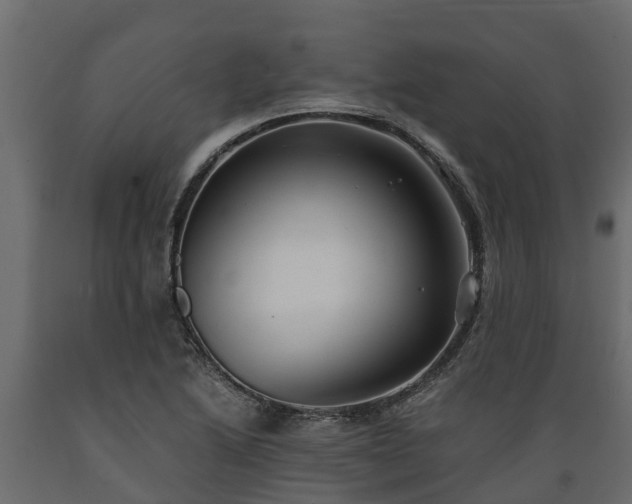 X0000089921222200707061012