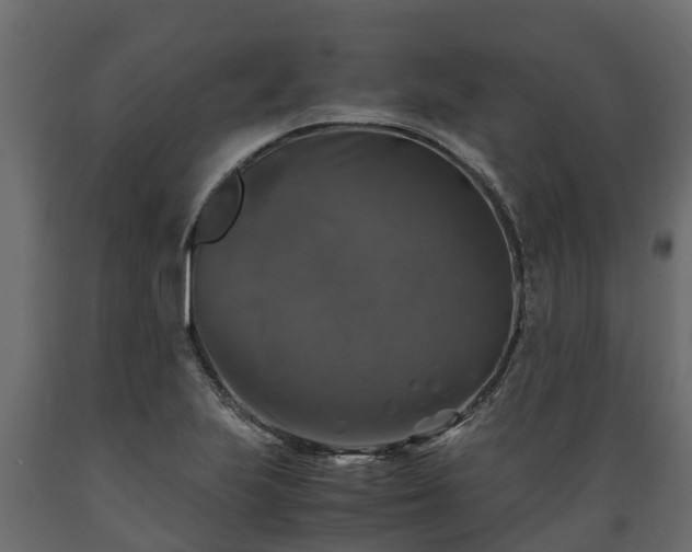 X0000089921223200707061012