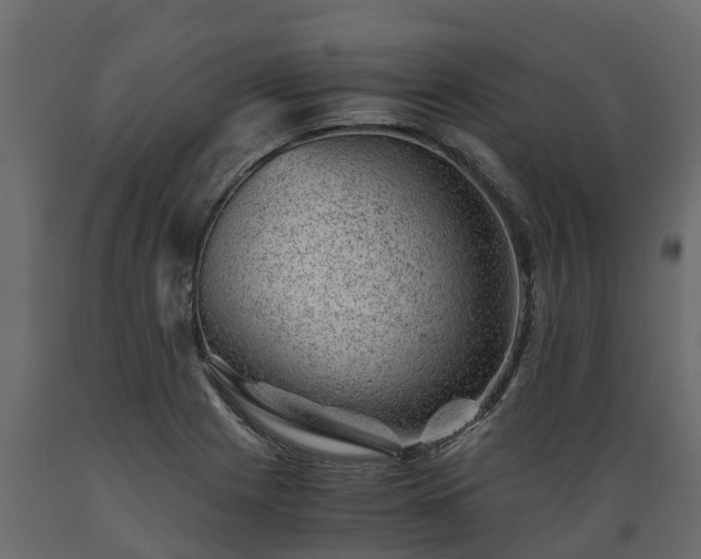 X0000089921225200707061012