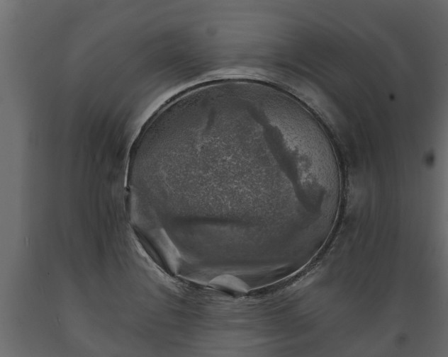X0000089921228200707061012