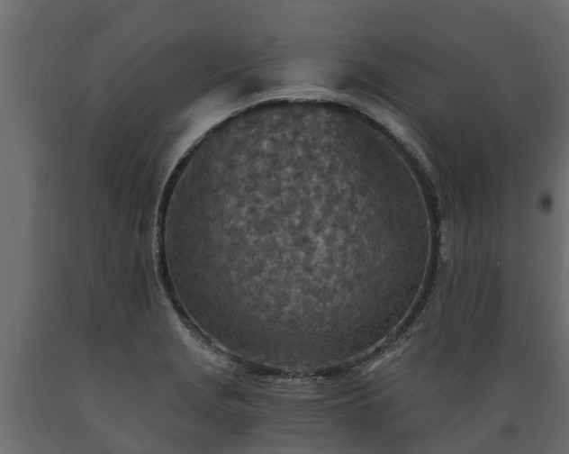 X0000089921229200707061012
