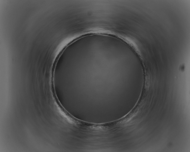 X0000089921231200707061012