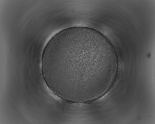 X0000089921232200707061012