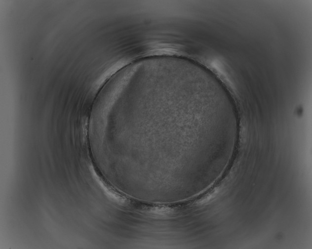 X0000089921233200707061012