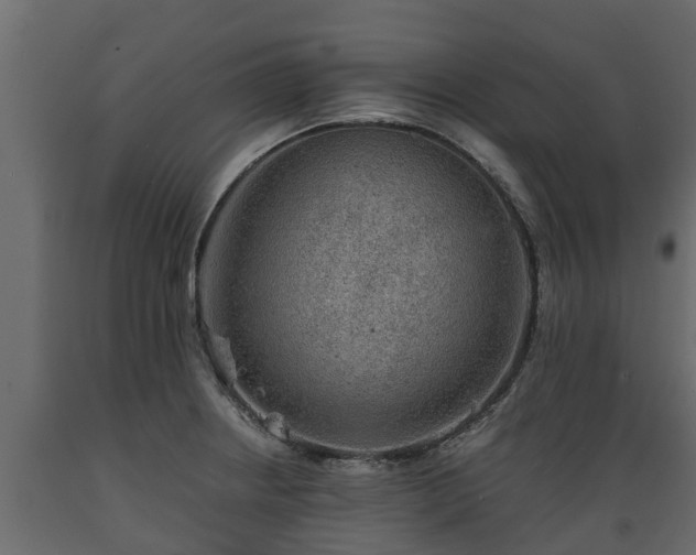 X0000089921234200707061012