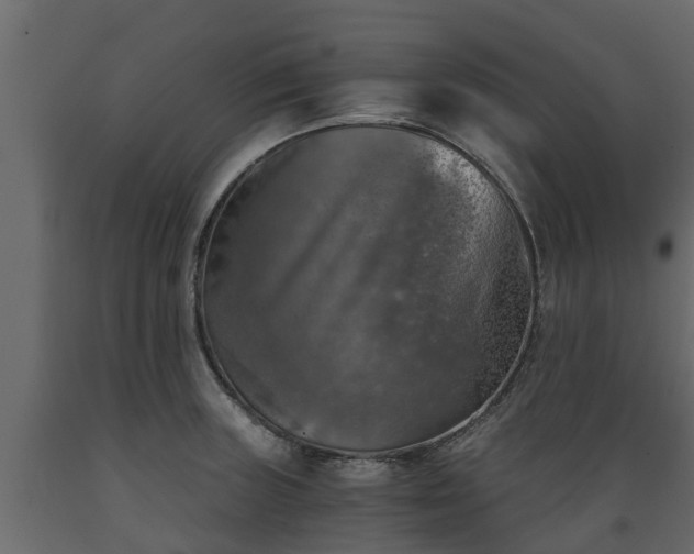 X0000089921235200707061012