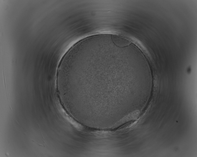 X0000089921236200707061012