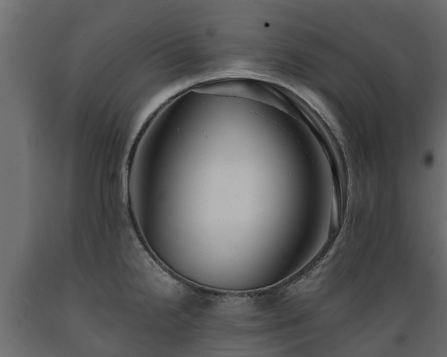 X0000089921238200707061013