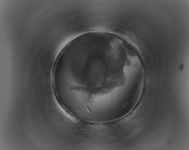 X0000089921239200707061013