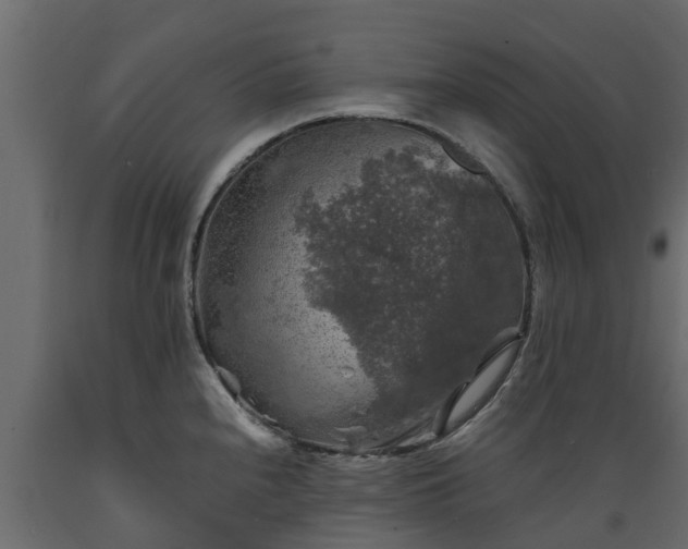 X0000089921240200707061013