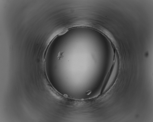 X0000089921242200707061013